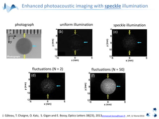 emmanuel.bossy@espci.fr , IHP, 12 février2014
speckle illumination
fluctuations (N = 2) fluctuations (N = 50)
uniform illuminationphotograph
Enhanced photoacoustic imaging with speckle illumination
J. Gâteau, T. Chaigne, O. Katz, S. Gigan and E. Bossy, Optics Letters 38(23), 2013
 