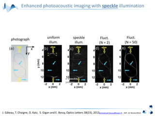 emmanuel.bossy@espci.fr , IHP, 12 février2014
speckle
illum.
Fluct.
(N = 50)
Fluct.
(N = 2)
uniform
illum.
Enhanced photoacoustic imaging with speckle illumination
J. Gâteau, T. Chaigne, O. Katz, S. Gigan and E. Bossy, Optics Letters 38(23), 2013
photograph
 