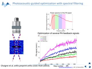 emmanuel.bossy@espci.fr , IHP, 12 février2014
29Chaigne et al. arXiv preprint arXiv:1310.7535 (2013).
Photoacoustic-guided optimization with spectral filtering
 