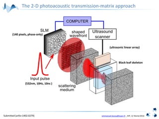 emmanuel.bossy@espci.fr , IHP, 12 février2014
(532nm, 10Hz, 10ns )
Black leaf skeleton
(140 pixels, phase-only)
(ultrasonic linear array)
The 2-D photoacoustic transmission-matrix approach
Submitted (arXiv:1402.0279)
 