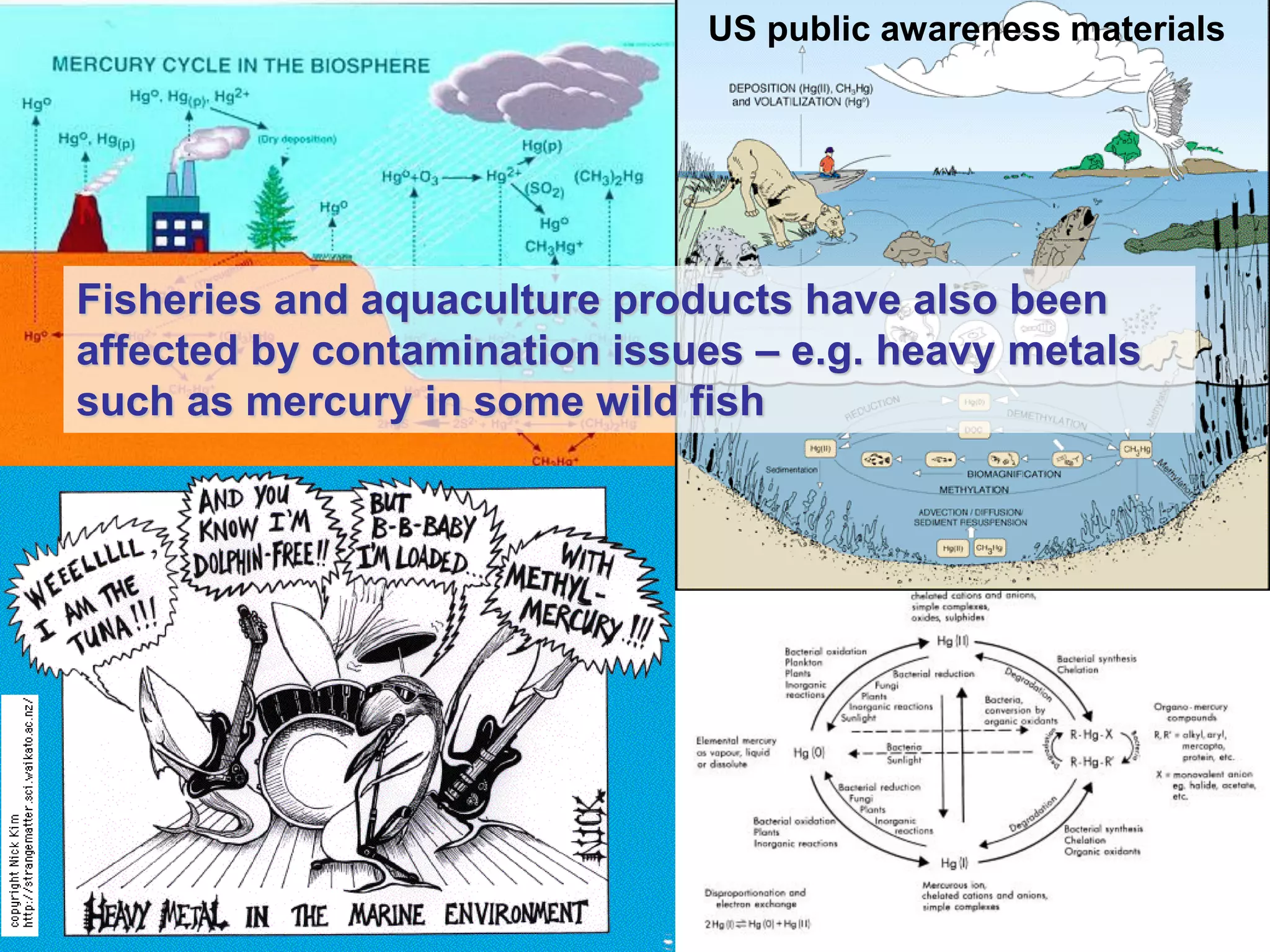 US public awareness materials
Fisheries and aquaculture products have also been
affected by contamination issues – e.g. heavy metals
such as mercury in some wild fish
 
