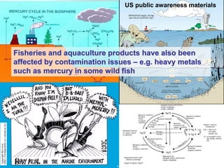 Shellfish Regulation The development and implementation of European regulations for (fish ...