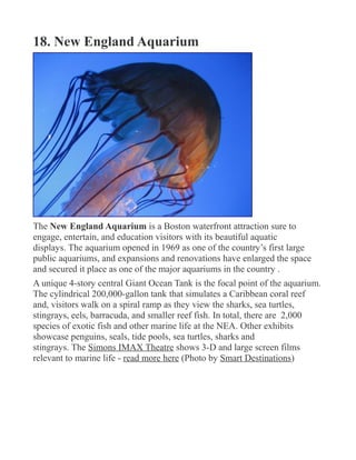 18. New England Aquarium
The New England Aquarium is a Boston waterfront attraction sure to
engage, entertain, and education visitors with its beautiful aquatic
displays. The aquarium opened in 1969 as one of the country’s first large
public aquariums, and expansions and renovations have enlarged the space
and secured it place as one of the major aquariums in the country .
A unique 4-story central Giant Ocean Tank is the focal point of the aquarium.
The cylindrical 200,000-gallon tank that simulates a Caribbean coral reef
and, visitors walk on a spiral ramp as they view the sharks, sea turtles,
stingrays, eels, barracuda, and smaller reef fish. In total, there are 2,000
species of exotic fish and other marine life at the NEA. Other exhibits
showcase penguins, seals, tide pools, sea turtles, sharks and
stingrays. The Simons IMAX Theatre shows 3-D and large screen films
relevant to marine life - read more here (Photo by Smart Destinations)
 