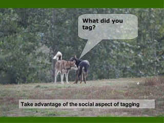 What are some ways that Nonprofits can pick the low Take advantage of the social aspect of tagging What did you  tag? 