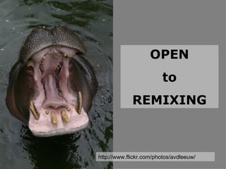 OPEN to REMIXING http://www.flickr.com/photos/avdleeuw/ 