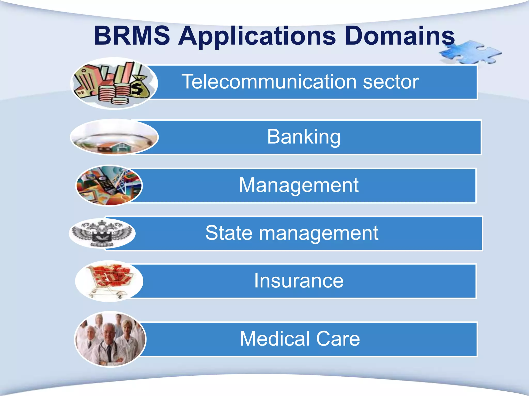 BRMSApplications Domains