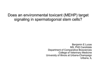 Does an environmental toxicant (MEHP) target
signaling in spermatogonial stem cells?
Benjamin E Lucas
MS, PhD Candidate
Department of Comparative Biosciences
College of Veterinary Medicine
University of Illinois at Urbana-Champaign
Urbana, IL
 