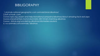 BIBILIGORAPHY
1.Animals.national geographic.com animals/birds/albatross/
2.Soft schools .com
3.www.rspb.org.uk/join and help/donations/campains/albatross/about amazing facts eat.aspx
4.www.staradvertiser.mom/columnisits /20110163 charming albatross
5.www. Arkive.org/wandering-albatross/diomedea exulans
6. a-z-animals.com/animals/ albatross
 