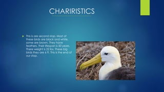 CHARIRISTICS
 This is are second stop. Most of
these birds are black and white,
some are brown. They have
feathers. Their lifespan is 50 years.
There weight is 22 lbs. These big
birds they are 6 ft. This is the end of
our stop.
 