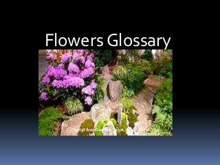 Flowers Glossary

 