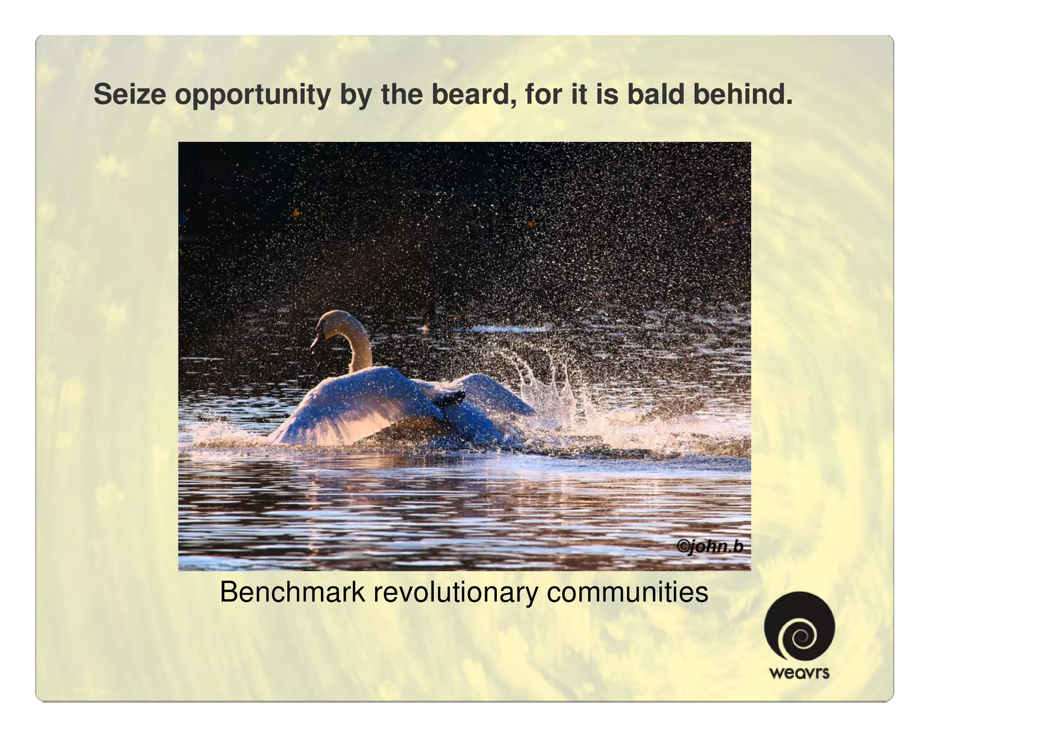 Seize opportunity by the beard, for it is bald behind.




         Benchmark revolutionary communities
 