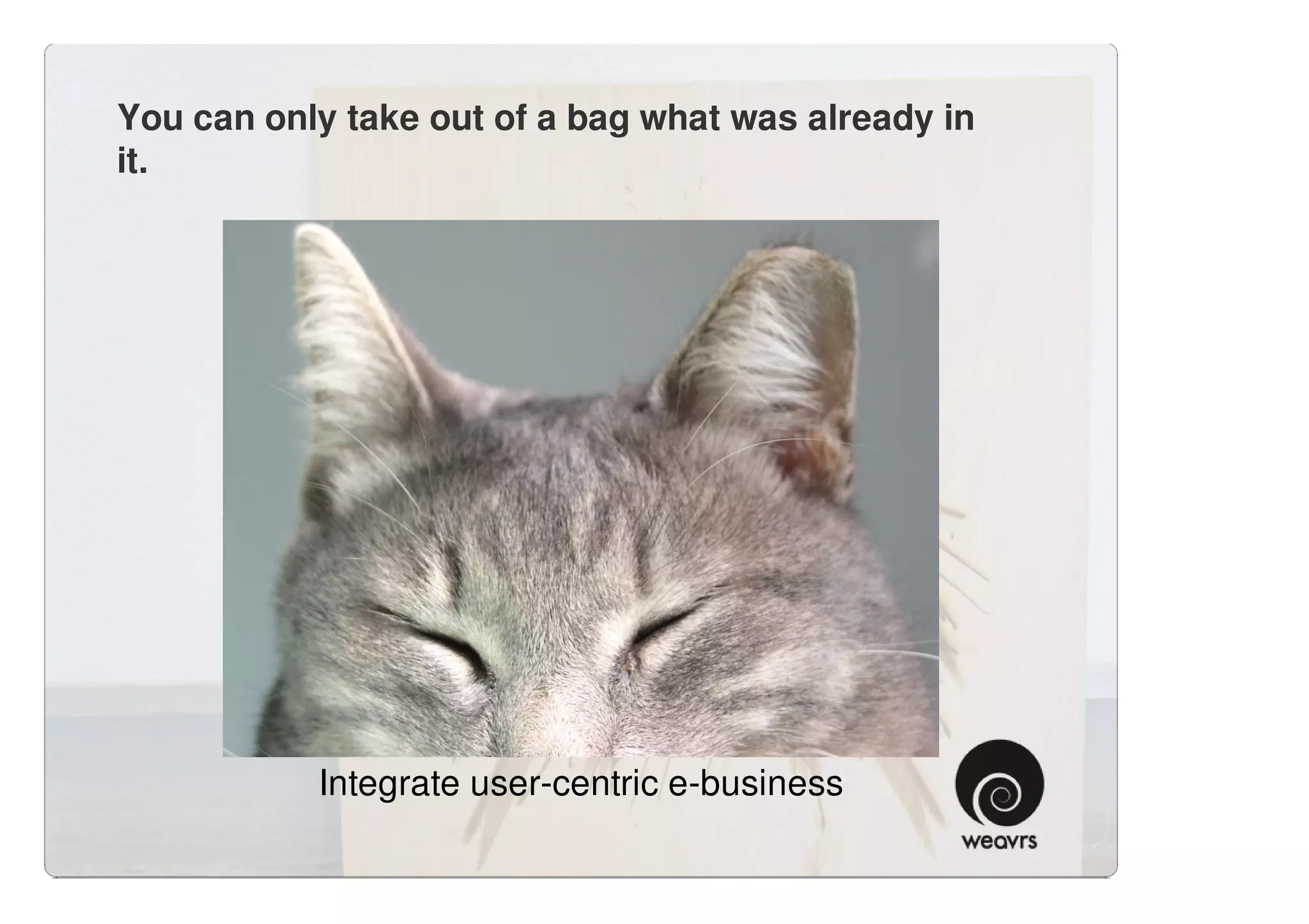 You can only take out of a bag what was already in
it.




           Integrate user-centric e-business
 