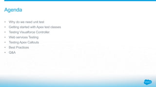 Apex Testing and Best Practices Slide 4