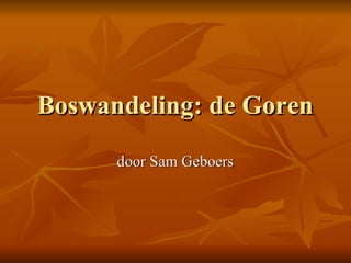 Boswandeling