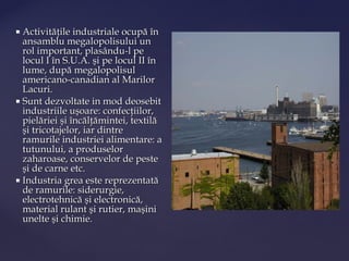  Activităţile industriale ocupă în
  ansamblu megalopolisului un
  rol important, plasându-l pe
  locul I în S.U.A. şi pe locul II în
  lume, după megalopolisul
  americano-canadian al Marilor
  Lacuri.
 Sunt dezvoltate in mod deosebit
  industriile uşoare: confecţiilor,
  pielăriei şi încălţămintei, textilă
  şi tricotajelor, iar dintre
  ramurile industriei alimentare: a
  tutunului, a produselor
  zaharoase, conservelor de peste
  şi de carne etc.
 Industria grea este reprezentată
  de ramurile: siderurgie,
  electrotehnică şi electronică,
  material rulant şi rutier, maşini
  unelte şi chimie.
 
