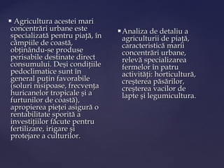 Agricultura acestei mari
concentrări urbane este            Analiza de detaliu a
specializată pentru piaţă, în       agriculturii de piaţă,
câmpiile de coastă,                 caracteristică marii
obţinându-se produse                concentrări urbane,
perisabile destinate direct         relevă specializarea
consumului. Deşi condiţiile         fermelor în patru
pedoclimatice sunt în               activităţi: horticultură,
general puţin favorabile            creşterea păsărilor,
(soluri nisipoase, frecvenţa        creşterea vacilor de
huricanelor tropicale şi a          lapte şi legumicultura.
furtunilor de coastă),
apropierea pieţei asigură o
rentabilitate sporită a
investiţiilor făcute pentru
fertilizare, irigare şi
protejare a culturilor.
 