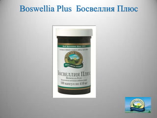 Boswellia Plus Босвеллия Плюс




         http://dagas.fo.ru/
 