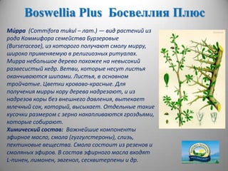 Boswellia plus | PPT