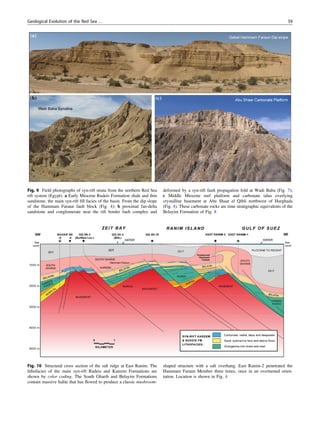 Bosworth_2015_Red_Sea_book_Chapter_3__249704-2.pdf