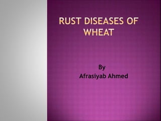 rust of Wheat | PPTX