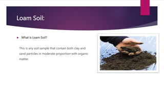 Loam Soil:
 What is Loam Soil?
This is any soil sample that contain both clay and
sand particles in moderate proportion w...