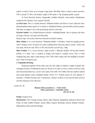 102
yellow in colour. Fruits on an average weigh about 180-200g, Flesh is white in colour and firm.
TSS is around 12° Brix, soft seeded, weight of 100 seeds is 1.8g. Keeping quality is good.
At Fruit Research Station, Sangareddy (Andhra Pradesh), inter-varietal hybridization
resulted in the isolation of two superior hybrids. .
a) Safed Jam: This is a hybrid between Allahabad Safeda and Kohir (a local collection from
Hyderabad-Karnataka region). It is similar to Allahabad Safeda in growth habit and fruit quality.
The fruits are bigger in size with good quality and few soft seeds.
b) Kohir Safeda: It is a hybrid between of Kohir x Allahabad Safeda. Tree is vigorous, the fruits
are larger with few soft seeds and white flesh.
Haryana Agri. University, Hisar has released two hybrid varieties.
Hisar Safeda: It is a cross between "Allahabad Safeda" x 'Seedless,' which has upright growth
with a compact crown. Its fruits are round, weighing about 92g each, pulp is creamy - white with
less seeds, which are soft, TSS is 13.4% and ascorbic acid 185 mg / 100g.
Hisar Surkha: It is a cross between' Apple Colour' x 'Banarasi Surkha'. Of the pink fleshed
hybrids, it is ideal. Tree is medium in height with broad to compact crown, fruit is round
weighing 86g each, pulp' is pink having 13.6% TSS, 0.48% acidity and 169 mg/l00g of ascorbic
acid. Yield is 94 kg/tree/year.
3. Polyploidy Breeding
Producing triploids will be futile since the fruit shape in triploid is highly irregular and
misshapen because of differential seed size. However in order to evolve varieties with less seeds
and increased productivity, crosses were made at the IAR!, New Delhi, between seedless triploid
and seeded diploid variety Allahabad Safeda. Of the 73 F. hybrids raised, 26 were diploids, 9
trisomies, 5 double trisomies and 13 tetrasomics. Distinct variation in tree growth habit and leaf
and fruit characters were observed.
Lecture No: 20
Banana (Musa paradisica) – Fruit variety
(Musa sapientum) – Vegetable variety
(2n=22, 33, 44)
Origin: Tropical Asia
Distribution: USA, Canada, Europe, Brazil, India, Pakistan, Bangladesh, Indonesia, Burma and
China. In India Andhra Pradesh, Assam, Bihar, Gujarat, Karnataka, Kerala, Madhya Pradesh,
Maharashtra, Orrisa and West Bengal.
 