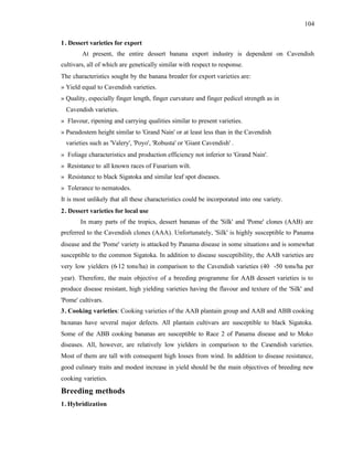 104
1. Dessert varieties for export
At present, the entire dessert banana export industry is dependent on Cavendish
cultivars, all of which are genetically similar with respect to response.
The characteristics sought by the banana breeder for export varieties are:
» Yield equal to Cavendish varieties.
» Quality, especially finger length, finger curvature and finger pedicel strength as in
Cavendish varieties.
» Flavour, ripening and carrying qualities similar to present varieties.
» Pseudostem height similar to 'Grand Nain' or at least less than in the Cavendish
varieties such as 'Valery', 'Poyo', 'Robusta' or 'Giant Cavendish' .
» Foliage characteristics and production efficiency not inferior to 'Grand Nain'.
» Resistance to all known races of Fusarium wilt.
» Resistance to black Sigatoka and similar leaf spot diseases.
» Tolerance to nematodes.
It is most unlikely that all these characteristics could be incorporated into one variety.
2. Dessert varieties for local use
In many parts of the tropics, dessert bananas of the 'Silk' and 'Pome' clones (AAB) are
preferred to the Cavendish clones (AAA). Unfortunately, 'Silk' is highly susceptible to Panama
disease and the 'Pome' variety is attacked by Panama disease in some situations and is somewhat
susceptible to the common Sigatoka. In addition to disease susceptibility, the AAB varieties are
very low yielders (6-12 tons/ha) in comparison to the Cavendish varieties (40 -50 tons/ha per
year). Therefore, the main objective of a breeding programme for AAB dessert varieties is to
produce disease resistant, high yielding varieties having the flavour and texture of the 'Silk' and
'Pome' cultivars.
3. Cooking varieties: Cooking varieties of the AAB plantain group and AAB and ABB cooking
bananas have several major defects. All plantain cultivars are susceptible to black Sigatoka.
Some of the ABB cooking bananas are susceptible to Race 2 of Panama disease and to Moko
diseases. All, however, are relatively low yielders in comparison to the Cav
endish varieties.
Most of them are tall with consequent high losses from wind. In addition to disease resistance,
good culinary traits and modest increase in yield should be the main objectives of breeding new
cooking varieties.
Breeding methods
1. Hybridization
 