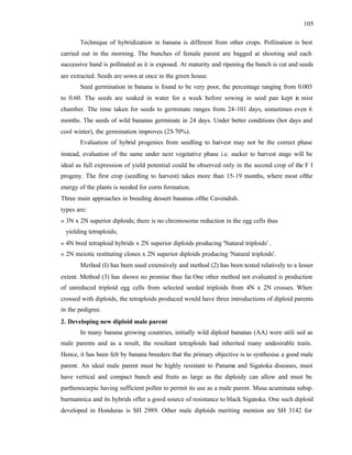 105
Technique of hybridization in banana is different from other crops. Pollination is best
carried out in the morning. The bunches of female parent are bagged at shooting and each
successive hand is pollinated as it is exposed. At maturity and ripening the bunch is cut and seeds
are extracted. Seeds are sown at once in the green house.
Seed germination in banana is found to be very poor, the percentage ranging from 0.003
to 0.60. The seeds are soaked in water for a week before sowing in seed pan kept in mist
chamber. The time taken for seeds to germinate ranges from 24-101 days, sometimes even 6
months. The seeds of wild bananas germinate in 24 days. Under better conditions (hot days and
cool winter), the germination improves (25-70%).
Evaluation of hybrid progenies from seedling to harvest may not be the correct phase
instead, evaluation of the same under next vegetative phase i.e. sucker to harvest stage will be
ideal as full expression of yield potential could be observed only in the second crop of the F I
progeny. The first crop (seedling to harvest) takes more than 15-19 months, where most ofthe
energy of the plants is needed for corm formation.
Three main approaches in breeding dessert bananas ofthe Cavendish.
types are:
» 3N x 2N superior diploids; there is no chromosome reduction in the egg cells thus
yielding tetraploids;
» 4N bred tetraploid hybrids x 2N superior diploids producing 'Natural triploids' .
» 2N meiotic restituting clones x 2N superior diploids producing 'Natural triploids'.
Method (I) has been used extensively and method (2) has been tested relatively to a lesser
extent. Method (3) has shown no promise thus far.One other method not evaluated is production
of unreduced triploid egg cells from selected seeded triploids from 4N x 2N crosses. When
crossed with diploids, the tetraploids produced would have three introductions of diploid parents
in the pedigree.
2. Developing new diploid male parent
In many banana growing countries, initially wild diploid bananas (AA) were utili sed as
male parents and as a result, the resultant tetraploids had inherited many undesirable traits.
Hence, it has been felt by banana breeders that the primary objective is to synthesise a good male
parent. An ideal male parent must be highly resistant to Panama and Sigatoka diseases, must
have vertical and compact bunch and fruits as large as the diploidy can allow and must be
parthenocarpic having sufficient pollen to permit its use as a male parent. Musa acuminata subsp.
burmannica and its hybrids offer a good source of resistance to black Sigatoka. One such diploid
developed in Honduras is SH 2989. Other male diploids meriting mention are SH 3142 for
 
