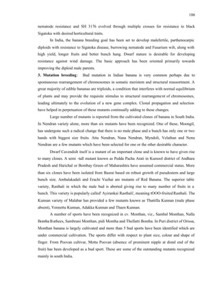 106
nematode resistance and SH 3176 evolved through multiple crosses for resistance to black
Sigatoka with desired horticultural traits.
In India, the banana breeding goal has been set to develop malefertile, parthenocarpic
diploids with resistance to Sigatoka disease, burrowing nematode and Fusarium wilt, along with
high yield, longer fruits and better bunch hang. Dwarf stature is desirable for developing
resistance against wind damage. The basic approach has been oriented primarily towards
improving the diploid male parents.
3. Mutation breeding: Bud mutation in Indian banana is very common perhaps due to
spontaneous rearrangement of chromosomes in somatic meristem and structural reassortment. A
great majority of edible bananas are triploids, a condition that interferes with normal equilibrium
of plants and may provide the requisite stimulus to structural rearrangement of chromosomes,
leading ultimately to the evolution of a new gene complex. Clonal propagation and selection
have helped in perpetuation of these mutants continually adding to these changes.
Large number of mutants is reported from the cultivated clones of banana in South India.
In Nendran variety alone, more than six mutants have been recognized. One of these, Moongil,
has undergone such a radical change that there is no male phase and a bunch has only one or two
hands with biggest size fruits. Attu Nendran, Nana Nendran, Myndoli, Velathan and Nenu
Nendran are a few mutants which have been selected for one or the other desirable character.
Dwarf Cavendish itself is a mutant of an important clone and is known to have given rise
to many clones. A semi -tall mutant known as Pedda Pacha Arati in Kumool district of Andhara
Pradesh and Harichal or Bombay Green of Maharashtra have assumed commercial status. More
than six clones have been isolated from Basrai based on robust growth of pseudostem and large
bunch size. Ambalakadali and Erachi Vazhai are mutants of Red Banana. The superior table
variety, Rasthali in which the male bud is aborted giving rise to many number of fruits in a
bunch. This variety is popularly called' Ayirankai Rasthali', meaning tOOO-fruitedRasthali. The
Kunnan variety of Malabar has provided a few mutants known as Thattilla Kunnan (male phase
absent), Vennettu Kunnan, Adakka Kunnan and Thaen Kunnan.
A number of sports have been recognized in cv. Monthan, viz., Sambal Monthan, Nalla
Bontha Bathees, Sambrani Monthan, pidi Montha and Thellatti Bontha. In Puri district of Orissa,
Monthan banana is largely cultivated and more than 5 bud sports have been identified which are
under commercial cultivation. The sports differ with respect to plant size, colour and shape of
finger. From Poovan cultivar, Motta Poovan (absence of prominent nipple at distal end of the
fruit) has been developed as a bud sport. These are some of the outstanding mutants recognized
mainly in south India.
 