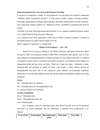107
Induced mutations have now been used in banana breeding.
b. Iso/ation of somaclona/ variants: In vitro production of crop plants has resulted in substantial
variability called "somaclonal variation". A wide range of stable variants involving dwarfism,
leaf shape, pigmentation of foliage and pseudostem and bunch characteristics was also observed.
Few somaclonal variants isolated in cv. Robusta at TNAU, Coimbatore is reported to be dwarf in
stature.
FATOM- I, an early flowering mutant derived from in vitro gamma irradiated meristem culture
of cv. Grand Nain has been released in Malaysia.
It is a selection from M1 V4 generation, which flowers within 9 months, as against 15 months in
the parent material. It yields a bunch weight of 26 kg!
plant as against 23 kg/plant in cv. Grand Nain.
Papaya (Carica papaya ) (2n = 18)
Papaya (Carica papaya ) belongs to the family Caricaceae and genus Carica have about
40 species. Only Carica papaya produces edible fruits. Among the other species, only six have
been utilized in breeding programme to induce resistance to virus diseases and frost. C.cauliflora
is resistant to viruses while C.candamarcensis and C.pentagona are resistant to frost. Papaya is a
polygamous plant and has many sex forms. There are 3 basic sex types - staminate or male,
hermaphrodite and pistillate or female. Of these, only female is stable whereas flowers of
hermaphrodite and male vary in sex expression under different environmental conditions.
Inheritance of sex has been studied extensively and the following Mendelian symbols have been
proposed:
Genes
M1 = dominant factor for maleness
M2 = dominant factor for hermaphroditism, and
m = recessive factor for femaleness
Genetic constitution
M1 m = Staminate plant.
M2 m = Hermaphrodite plant, and
mm = Pistillate plant
Sex in papaya cannot be identified unless they flower but the ratio can be predicted
provided it is control pollinated. The sex inheritance in different cross combinations is as
follows:
Cross of self Female plant Hermaphrodite
plant
Male plant Non-viable
 
