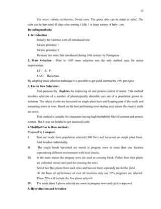 32
Zea mays. variety sachharata, Sweet corn. The green cobs can be eaten as salad. The
cobs can be harvested 45 days after sowing. CoBc 1 is latest variety of baby corn.
Breeding methods:
1. Introduction :
Initially the varieties were all introduced one.
Sikkim primitive 1
Sikkim primitive 2.
Mexican line were first introduced during 16th century by Portugeese
2. Mass Selection : Prior to 1945 mass selection was the only method used for maize
improvement.
KT 1 - U. P.
RAS 1 - Rajasthan.
By adopting mass selection technique it is possible to get yield increase by 19% per cycle.
3. Ear to Row Selection :
First proposed by Hopkins for improving oil and protein content of maize. This method
involves selection of a number of phenotypically desirable ears out of a population grown in
isolation. The selecte d cobs are harvested on single plant basis and keeping part of the seeds and
remaining sown in rows. Based on the best performing rows during next season the reserve seeds
are sown.
This method is suitable for characters having high heritability like oil content and protein
content. But it was not helpful to get increased yield.
4.Modified Ear to Row method :
Proposed by Lonquist.
I. Best ear heads from population selected (100 No.) and harvested on single plant basis.
And threshed individually.
II. The single heads harvested are raised in progeny rows in more than one location
representing different environment with local checks.
III. In the main station the progeny rows are used as crossing block. Pollen from best plants
are collected, mixed and used for crossing the rows.
Select best five plants from each rows and harvest them separately record the yield.
On the basis of performance of over all locations only top 20% progenies are selected.
These 20% will include the five plants selected.
IV. The seeds from 5 plants selected are sown in progeny rows and cycle is repeated.
5. Hybridization and Selection
 