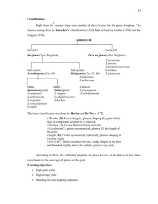34
Classification :
Right from 16
th
century there were number of classification for the genus Sorghum. The
famous among them is Snowden’s classification (1936) later refined by Garber (1950) and by
Dogget (1970).
SORGHUM
Section I Section II
Sorghum (True Sorghum) Para sorghum (other Sorghum)
S.versicolor
S.introns
S.purpureosericeum
Sub section Sub section S.nitidum
Arundinaceae (2n=20) Halepensia (2n=20, 40) S.plumosum
S.halepense
S.miliaceum
Series Series S.almum
Spontanea(grass) Sativa(grain) S.propinquum
S.sudanense S.vulgare S.radolphianum
S.aethiopicum S.subglabaesence
S.virgatum S.dochna
S.verticillifolium
S.stapfii
The latest classification was done by Harlan and De Wet (1972).
1.Bicolor (B): Grain elongate, glumes clasping the grain which
may be completely covered or ¼ exposed.
2.Guinea (G): Grains flatten
ed dorso-ventrally.
3.Caudatum(C): grains asymmetrical, glumes 1/2 the length of
the grain.
4.Kaffir (K): Grains symmetrical (spherical), glumes clasping in
varying length.
5.Durra (D): Grains rounded obovate, wedge shaped at the base
and broadest slightly above the middle; glumes very wide.
According to them, the cultivated sorghum Sorghum bicolor is divided in to five basic
races based on the coverage of glume on the grain
Breedingobjectives
1. High grain yield
2. High forage yield
3. Breeding for non-lodging sorghums.
 