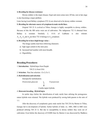 38
4. Breeding for disease resistance
Downy mildew is the major disease. Ergot and smut comes next. Of late, rust at late stage
is also becoming a major problem.
Lines having Local Bellary cytoplasm (732 A) are observed to be downy mildew resistant.
5. Breeding for alternate source of cytoplasm in male sterile lines.
Original Tift 23 A evolved at Tifton, Georgia is highly susceptible to downy mildew.
Because of this the HB series went out of cultivation. The indigenous 732 A obtained from
Bellary is resistant. Similarly L 111A of Ludhiana is also tolerant.
A
1
, A
2
,A
3
and A
4
are there 732 A belongs to A
4
cytoplasm.
6. Breeding for to have high forage value :
The forage cumbu must have following characters.
a) high sugar content in the stem juice
b) Increased leaf number with more breadth.
c) Digestibility.
Breeding Procedures
1. Introduction : Hybrid bajra from Punjab.
Tift 23 A from USA
2. Selection : Pure line selection : Co 2, Co 3,
3. Hybridisation and selection
Interspecific hybridisation.
Pennisetum glaucum x P.purpureum
Cumbu napier hybrids.
4. Heterosis breeding : Hybrid bajra
In earlier days before the identification of male sterile lines utilising the protogynous
nature hybrids were released. The hybrids were produced by sowing both parents in the ratio of
1:1.
After the discovery of cytoplasmic genic male sterile line Tift 23A by Burton in Tifton,
Georgia led to development of hybrids. Earlier hybrids of India viz., HB1, HB2 to HB5 were
produced utilising Tift 23 A. But due to susceptibility to downy mildew they went out of
cultivation. Even before the discovery of CGMS lines by Burton it was discovered by Madhava
 
