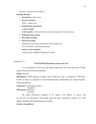 59
Phyllody - transfer from wild species.
Breeding Methods :
1. Introduction : African lines.
2. Pure line selection.
TMV6 - Andhra local.
3. Hybridization and selection.
a) Inter varietial
b) Inter specific : Male sterile lines evolved by crossing with S.malabaricum.
4. Population improvement
5. Poly ploidy breeding
6. Heterosis breeding
Epipetalous nature makes emasculation and crossing easier
Use of CMS lines is also being attempted.
7. Embryo rescue technique.
Varieties Gouri, Madhavi, Rajeshwari, Swetha
Lecture No: 11
SUNFLOWER (Helianthus annuus) (2n=34)
It is an important oil seed crop. Oil content ranges from 46-52 per cent and is of high
quality having non-cholesteral properties.
Origin: America
Distribution: USSR, Romania, Canada, USA In India this crop is introduced in 1969 from
USSR. In India it is cultivated in Tamil Nadu Karnataka, Maharashtra and Andhra Pradesh,
Punjab and Haryana
Progenitors: Helianthus petiolaris
H. gigants
Wild species: H hirsutus
H rigidus
The genus Helianthus comprises of 67 species. Two species H .annuus and
H. tuberosus are cultivated as food plants genus has basic chromosome number of 17 and
diploid, tetraploid and hexaploid species are found.
Cultivars of sunflower:
 