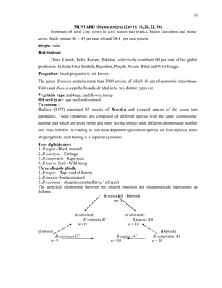 66
MUSTARD (Brassica nigra) (2n=16, 18, 20, 22, 36)
Important oil seed crop grown in cool season sub tropics, higher elevations and winter
crops. Seeds contain 40 – 45 per cent oil and 38-41 per cent protein.
Origin: India
Distribution:
China, Canada, India, Europe, Pakistan, collectively contribute 90 per cent of the global
production. In India Uttar Pradesh, Rajasthan, Punjab, Assam, Bihar and West Bengal.
Progenitor: Exact progenitor is not known.
The genus Brassica contains more than 3000 species of which 40 are of economic importance.
Cultivated Brassica can be broadly divided in to two distinct types viz.
Vegetable type :cabbage, cauliflower, turnip
Oil seed type - rape seed and mustard.
Taxonomy :
Harberd (1972) examined 85 species of Brassica and grouped species of the genus into
cytodemes. These cytodemes are composed of different species with the same chromosome
number and which are cross fertile and other having species with different chromosome number
and cross infertile. According to him most important agricultural species are four diploids, three
allopolyploids, each belong to a separate cytodeme.
Four diploids are :
1. B.nigra - Black mustard
2. B.oleracea - Cabbage
3. B.campestris - Rape seed.
4. B.tourne frotii - Wild turnip
Three allopoly ploids
1. B.napus - Rape seed of Europe
2. B.juncea -Indian mustard
3. B.carinata - sthipplam mustard (veg / oil seed)
The genetical relationship between the oilseed brassicas are diagramaticaly represented as
follows.
B.nigra BB (Diploid)
n= 8
(Cultivated) (Cultivated)
B.carinata BC B.juncea AB
n= 17 n = 18
(Diploid) (Diploid)
B.oleracea CC B.napus AC B.campestris AA
n = 9 n = 19 n = 10
 