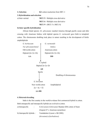 70
2. Selection : K1 cotton reselection from SRT-1
3.Hybridization and selection
a) Inter varietal : MCU 5 - Multiple cross derivative
MCU 6 - Multiple cross derivative
MCU 9 - (MCU 5 x MCU 8)
b) Inter specific hybridization
African linted species (G. africanum) reached America through pacific ocean and after
crossing with American lintless wild diploid species G. rarimondii gave birth to tetraploid
cotton. The chromosome doubling took place in nature resulting in the development of fertile
amphidiploids
G. herbaceum x G. rarimondii
Var africanum linted lintless
Old world cotton American cotton
Diploid (2n=2x=26) Diploid (2n=2x=26)
AA DD
F1 hybrid
Diploid 2n=2x=26
AD
Sterile
Doubling of chromosomes
G. hirsutum
New world cotton Amphidiploid
2n = 4x = 52
AA DD
4. Heterosis breeding
India is the first country in the world to release first commercial hybrid in cotton.
Both intraspecific and interspecific hybrids are evolved in cotton.
a) Intraspecific : G.hirsutum x G.hirsutum Shankar (H4) cotton of Surat
(Gujarat 67 x American nectariless)
b) Interspecific hybrids : Varalakshmi (Laxmi x SB 289E)
(hirsutum) x (barbadense)
 
