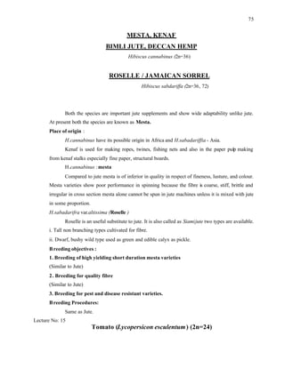 75
MESTA, KENAF
BIMLI JUTE, DECCAN HEMP
Hibiscus cannabinus (2n=36)
ROSELLE / JAMAICAN SORREL
Hibiscus sabdariffa (2n=36, 72)
Both the species are important jute supplements and show wide adaptability unlike jute.
At present both the species are known as Mesta.
Place of origin :
H.cannabinus have its possible origin in Africa and H.sabadariffia - Asia.
Kenaf is used for making ropes, twines, fishing nets and also in the paper pulp making
from kenaf stalks especially fine paper, structural boards.
H.cannabinus :mesta
Compared to jute mesta is of inferior in quality in respect of fineness, lusture, and colour.
Mesta varieties show poor performance in spinning because the fibre is coarse, stiff, brittle and
irregular in cross section mesta alone cannot be spun in jute machines unless it is mixed with jute
in some proportion.
H.sabadarifra var.altissima (Roselle )
Roselle is an useful substitute to jute. It is also called as Siamijute two types are available.
i. Tall non branching types cultivated for fibre.
ii. Dwarf, bushy wild type used as green and edible calyx as pickle.
Breeding objectives :
1. Breeding of high yielding short duration mesta varieties
(Similar to Jute)
2. Breeding for quality fibre
(Similar to Jute)
3. Breeding for pest and disease resistant varieties.
Breeding Procedures:
Same as Jute.
Lecture No: 15
Tomato (Lycopersicon esculentum) (2n=24)
 