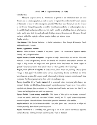 88
MARI GOLD (Tagetes erecta L). (2n = 24)
Introduction
Marigold (Tagetes erecta L., Asteraceae) is grown as an ornamental crop for loose
flowers and as a landscape plant, as well as source of pigment for poultry feed. Flowers are sold
in the market as loose or after making into garlands. Other than loose flowers, it can also be used
as cut flowers. Marigold especially is used for beautification and also in landscape plans due to
its variable height and colour of flowers. It is highly suitable as a bedding plant, in a herbaceous
border and is also ideal for newly pla nted shrubbery to provide colour and fill spaces. French
marigold is ideal for rockeries, edging, hanging baskets and window boxes.
Origin: Mexico
Distribution: USA, Europe India etc. In India Maharashtra, West Bengal, Karnataka, Tamil
Nadu and Andhra Pradesh.
Species, Types and Cultivars
Species: There are about 33 species of the genus Tagetes. The characters of important species
(Bailey, 1963) are given below:
Tagetes erecta (African marigold): The plant is hardy, annual about 90 cm tall, erect and
branched. Leaves are pinnately divided and leaflets are lanceolate and serrated. Flowers are
single to fully double and large sized with globular heads. The florets are either 2
-lipped or
quilled. Flower colour varies from lemon yellow to yellow, golden yellow or orange.
Targets patulo (French marigold): A hardy annual, about 30 cm tall, forming a bushy plant.
Foliage is dark green with reddish stem. Leaves are pinnately divided and leaflets are linear
lanceolate and serrated. Flowers are small, either single or double, borne on proportionately long
peduncles. The flower colour varies from yellow to mahogany-red.
Tagetes tenuifolia (Syn. Tagetes signata): It is an annual with a branching habit. Leaves are
pinnately divided into 12 oblong, linear, sharply serrated segments. Flowers have 5 rays, yellow,
roundish and obovate. Tagetes signata cv. Pumila is a dwarf, brushy and grows less than 30 cm.
Flowers are bright yellow and small but numerous.
Tagetes lucida (Sweet scented marigold): The plants of this species are tender, perennial.
Leaves are sessile, small and lanceolate. Flowers usually are 2-3 rayed, produced in dense,
terminal corymbs. The flowers have much more agreeable odour than other species.
Tagetes lacra: It was discovered in California. The plant grows upto 120-150 cm in height and
flowers profusely. Flowers are yellow in colour.
Tagetes lemmonii: It is a shrubby plant, grows up to 60-70 cm. Leaves are slender, opposite;
leaflets about 2-3 cm long. Flowers are showy and 2-3 cm in diameter.
 