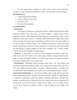 89
The o
ther species grown in gardens are Tagetes minuta, Tagetes pusilla and Tagetes
corymbosa. In India, however, the cultivation of Tagetes erecta and Tagetes patula dominates.
Breeding objective:
1. Compact and dwarf growth habit
2. Uniform response to environment
3. More flower yield.
4. Free from diseases and pests
BreedingMethods:
1. Introduction :
A wide array of germplasm was collected At N.B.R.I., Lucknow and Punjab Agricultural
University, Ludhiana from exotic sources. In African marigold,. 5 varieties, namely Alaska,
Doubloon, Fire Glow, Golden Jubilee and Yellow Fluffy were recommended for loose – flower
production, whereas eight varieties viz., Geraidine, Golden Climax Giant, Orange Fluffy, Orange
Mums, Sovereign, Sun Giants, Super Chief Double and Yellow Climax were found suitable for
cut flower purpose at N.B.R.I. Lucknow, PAU, Ludhiana recommended 2 varieties like Giant
Double Afrian Orange and Climax of Afrian marigold and 3 varieties Rusty Red, Butter Scotch
and Red Brocade of French marigold for loose flower production and 3 varieties, namely,
Valencia, Sussana and Tetraploid for bedding purpose.
2. Selection: A large number of varieties of African marigold were collected at IARI, New
Delhi. Since, most of the varieties were in heterozygous condition, single plant selections were
made in the basis of desirable attributes. As a result of these efforts, few promising selections
have been developed, which are in pre-release stage.
3. Hybridization: Hybridization between distantly related types is the most effective and
commonly employed tool to induce variation so as to improve the existing cultivars and evolve
new, high yielding and better quality of genotypes. Different principles of breeding have
successfully been used in marigold, which resulted in new cultivars and present day F1 hybrids.
Inter
-Varietal Hybridization: In well-planned breeding studies, Singh and Swamp (1972)
observed appreciable heterosis. Attempts were made to develop F1 hybrids in marigold because
F1 hybrids are considerably; uniform and capable of producing large blooms with high yield
potential. In addition, they are characterized by their semi-tall nature with excellent large full
double flowers. For the last 20 years, F
1, hybrid seeds of Tagetes erecta are available. Climax
was the first F1, hybrid to be released. A number of other F
2 hybrids are also available in the
market.
 