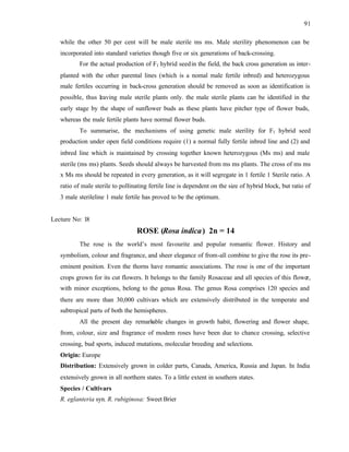 91
while the other 50 per cent will be male sterile ms ms. Male sterility phenomenon can be
incorporated into standard varieties though five or six generations of back-crossing.
For the actual production of F1 hybrid seedin the field, the back cross generation us inter-
planted with the other parental lines (which is a nomal male fertile inbred) and heterozygous
male fertiles occurring in back-cross generation should be removed as soon as identification is
possible, thus leaving male sterile plants only. the male sterile plants can be identified in the
early stage by the shape of sunflower buds as these plants have pitcher type of flower buds,
whereas the male fertile plants have normal flower buds.
To summarise, the mechanisms of using genetic male sterility for F1 hybrid seed
production under open field conditions require (1) a normal fully fertile inbred line and (2) and
inbred line which is maintained by crossing together known heterozygous (Ms ms) and male
sterile (ms ms) plants. Seeds should always be harvested from ms ms plants. The cross of ms ms
x Ms ms should be repeated in every generation, as it will segregate in 1 fertile 1 Sterile ratio. A
ratio of male sterile to pollinating fertile line is dependent on the size of hybrid block, but ratio of
3 male sterileline 1 male fertile has proved to be the optimum.
Lecture No: 18
ROSE (Rosa indica) 2n = 14
The rose is the world’s most favourite and popular romantic flower. History and
symbolism, colour and fragrance, and sheer elegance of from-all combine to give the rose its pre-
eminent position. Even the thorns have romantic associations. The rose is one of the important
crops grown for its cut flowers. It belongs to the family Rosaceae and all species of this flower,
with minor exceptions, belong to the genus Rosa. The genus Rosa comprises 120 species and
there are more than 30,000 cultivars which are extensively distributed in the temperate and
subtropical parts of both the hemispheres.
All the present day remark
able changes in growth habit, flowering and flower shape,
from, colour, size and fragrance of modem roses have been due to chance crossing, selective
crossing, bud sports, induced mutations, molecular breeding and selections.
Origin: Europe
Distribution: Extensively grown in colder parts, Canada, America, Russia and Japan. In India
extensively grown in all northern states. To a little extent in southern states.
Species / Cultivars
R. eglanteria syn. R. rubiginosa: Sweet Brier
 