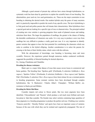 93
Although a good amount of present day cultivars have arisen through hybridization, no
systematic work has been done by geneticists to explore the scientific basis of rose breeding. The
abnormalities, poor seed set, low seed germination, etc. These are the major constraints in rose
breeding in obtaining the desired results. Our modern hybrids carry the genes of many ancestors
and it is practically impossible to predict the result of any specific cross. The tip to hybridizing is
to find good seed and pollen parents that will donate their characteristics. Most hybridizers have
a special goal and are looking for a specific type of rose or characteristics. The principal method
of creating new rose varieties is growing progenies from seeds of planned crosses and making
selections from them. The larger the population of seedlings, the greater is the chance of finding
the desirable combinations of characters one seeks. It is very easy to produce a new rose from
seedlings but very difficult to produce a really good new rose. It is very important to identify
parent varieties that appear to have the best potential for contributing the characters which one
seeks to combine in the hybrid offspring. Another consideration is to select the parents for
crossing or the basis of their fertility status, which varies with the cultivars.
With the advancement of knowledge, rose breeding is becoming more and more
scientific. However, the experience gained through numerous studies conducted worldwide
suggested the possibility of directed breeding for desired objectives.
Ex: Anurag, Chandrama and Chandrika
Breeding for disease resistance
Black spot is a major foliar disease of roses that causes severe losses to commercial and
home gardens. The breeding lines ‘Spotless gold’ (Floribunda, F3 selection: Goldlocks x Rosa
rugosa ), ‘Spotless Yellow’ (Floribunda, F3 selection; Goldlocks x Rosa rugosa) and ‘Spotless
Pink’ (Floribudna, F3 selection: Chic x Rosa rugosa) have been release for use a resistant parents
in breeding programmes. Some resistant varieties have been developed through complex
hybridization, like ‘A Mackenzie’, ‘Charles Albart’, ‘Champlan’, ‘William Baffin’, etc.
resistance to blacks pot and Mildew.
Breeding for Better Red Rose
Cyanidin imparts red colour to flower petals. But two more pigments have been
identified, ‘Chrysanthemin’ and ‘Paeonin’ which produce a red much more brilliant and much
less prone to fade than cyanidin. The breeder may select varieties containing large quantities of
these pigments in a breeding programme to produce the perfect red rose. Climbing rose varieties
‘Francois juraiville’, ‘Dorothy Perkins’ and sports have been an important source of variation
because of the ease with which they can be isolated and vegetatively propagated. The rate of
 