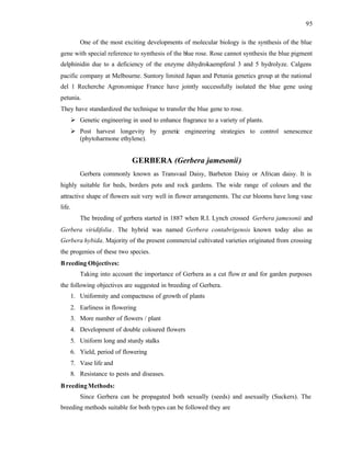 95
One of the most exciting developments of molecular biology is the synthesis of the blue
gene with special reference to synthesis of the blue rose. Rose cannot synthesis the blue pigment
delphinidin due to a deficiency of the enzyme dihydrokaempferal 3 and 5 hydrolyze. Calgens
pacific company at Melbourne. Suntory limited Japan and Petunia genetics group at the national
del 1 Recherche Agronomique France have jointly successfully isolated the blue gene using
petunia.
They have standardized the technique to transfer the blue gene to rose.
Ø Genetic engineering in used to enhance fragrance to a variety of plants.
Ø Post harvest longevity by genetic engineering strategies to control senescence
(phytoharmone ethylene).
GERBERA (Gerbera jamesonii)
Gerbera commonly known as Transvaal Daisy, Barbeton Daisy or African daisy. It is
highly suitable for beds, borders pots and rock gardens. The wide range of colours and the
attractive shape of flowers suit very well in flower arrangements. The cur blooms have long vase
life.
The breeding of gerbera started in 1887 when R.I. Lynch crossed Gerbera jamesonii and
Gerbera viridifolia. The hybrid was named Gerbera contabrigensis known today also as
Gerbera hybida. Majority of the present commercial cultivated varieties originated from crossing
the progenies of these two species.
Breeding Objectives:
Taking into account the importance of Gerbera as a cut flow er and for garden purposes
the following objectives are suggested in breeding of Gerbera.
1. Uniformity and compactness of growth of plants
2. Earliness in flowering
3. More number of flowers / plant
4. Development of double coloured flowers
5. Uniform long and sturdy stalks
6. Yield, period of flowering
7. Vase life and
8. Resistance to pests and diseases.
BreedingMethods:
Since Gerbera can be propagated both sexually (seeds) and asexually (Suckers). The
breeding methods suitable for both types can be followed they are
 