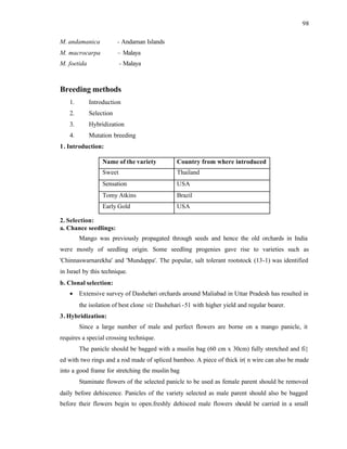 98
M. andamanica - Andaman Islands
M. macrocarpa – Malaya
M. foetida - Malaya
Breeding methods
1. Introduction
2. Selection
3. Hybridization
4. Mutation breeding
1. Introduction:
Name of the variety Country from where introduced
Sweet Thailand
Sensation USA
Tomy Atkins Brazil
Early Gold USA
2. Selection:
a. Chance seedlings:
Mango was previously propagated through seeds and hence the old orchards in India
were mostly of seedling origin. Some seedling progenies gave rise to varieties such as
'Chinnaswarnarekha' and 'Mundappa'. The popular, salt tolerant rootstock (13-1) was identified
in Israel by this technique.
b. Clonal selection:
• Extensive survey of Dashehari orchards around Maliabad in Uttar Pradesh has resulted in
the isolation of best clone viz Dashehari -51 with higher yield and regular bearer.
3. Hybridization:
Since a large number of male and perfect flowers are borne on a mango panicle, it
requires a special crossing technique.
The panicle should be bagged with a muslin bag (60 cm x 30cm) fully stretched and fi}
ed with two rings and a rod made of spliced bamboo. A piece of thick ir( n wire can also be made
into a good frame for stretching the muslin bag
Staminate flowers of the selected panicle to be used as female parent should be removed
daily before dehiscence. Panicles of the variety selected as male parent should also be bagged
before their flowers begin to open.freshly dehisced male flowers should be carried in a small
 
