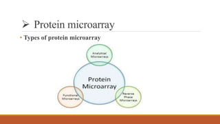  Protein microarray
• Types of protein microarray
 