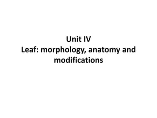 Unit IV
Leaf: morphology, anatomy and
modifications
 