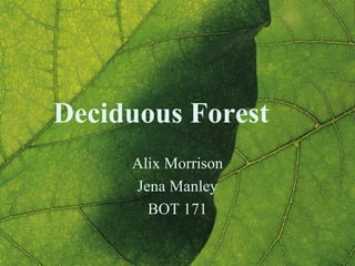 Deciduous Forest Alix Morrison Jena Manley BOT 171 