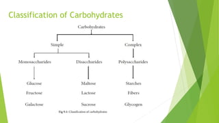 Classification of Carbohydrates
 