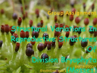 Group Assignment Structural Variations In Reproductive Structures Of Division Bryophyta (Mosses ) 