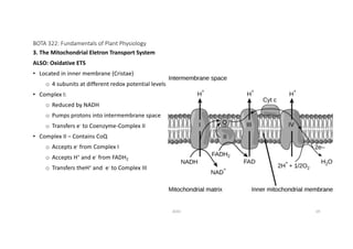 BOTA 322 Fundamentals of Plant Physiology_Respiration.pdf