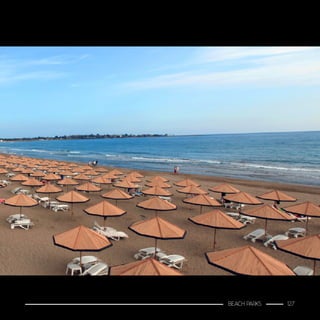 BEACH PARKS 127
 